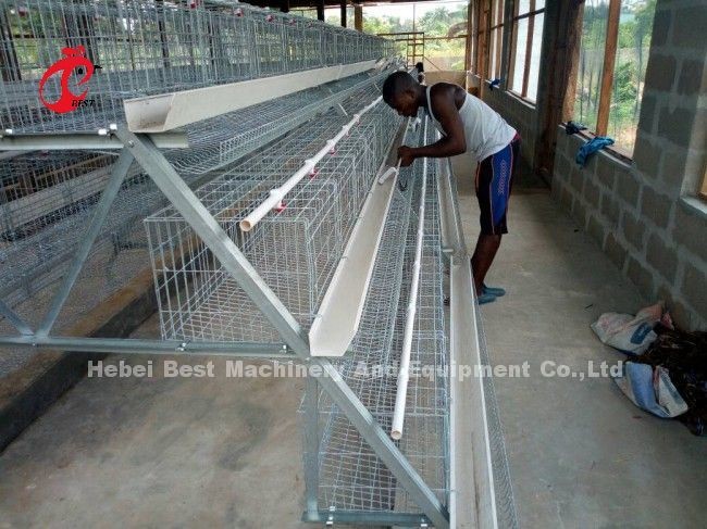A Or H Type 3 Or 4 Tier Chicken Battery Cage For Poultry Chicken Farm Doris