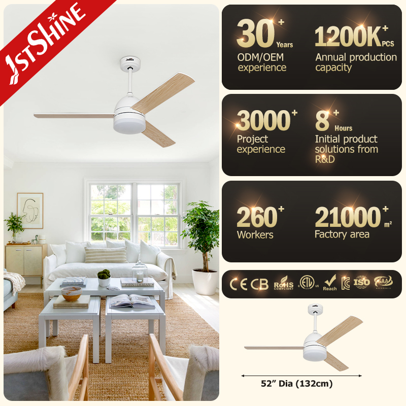 ceiling fan