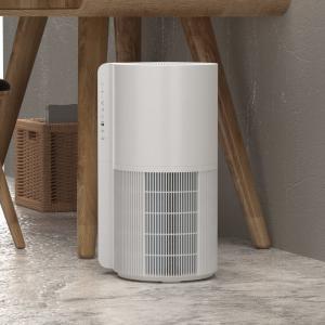 China Oem Carbon Filter Smart Air Purifier For Mold And Germs on sale