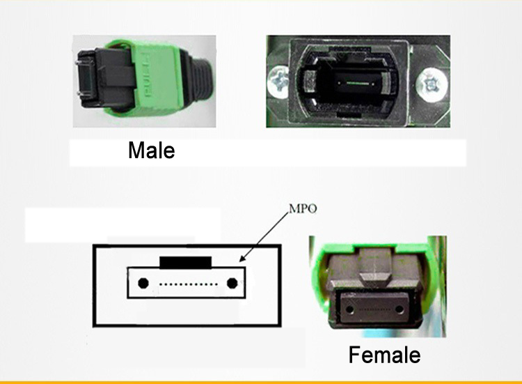 MTP MPO To SC UPC Fiber Optic Fanout Pigtail Patch Cord Single Mode 0.9mm