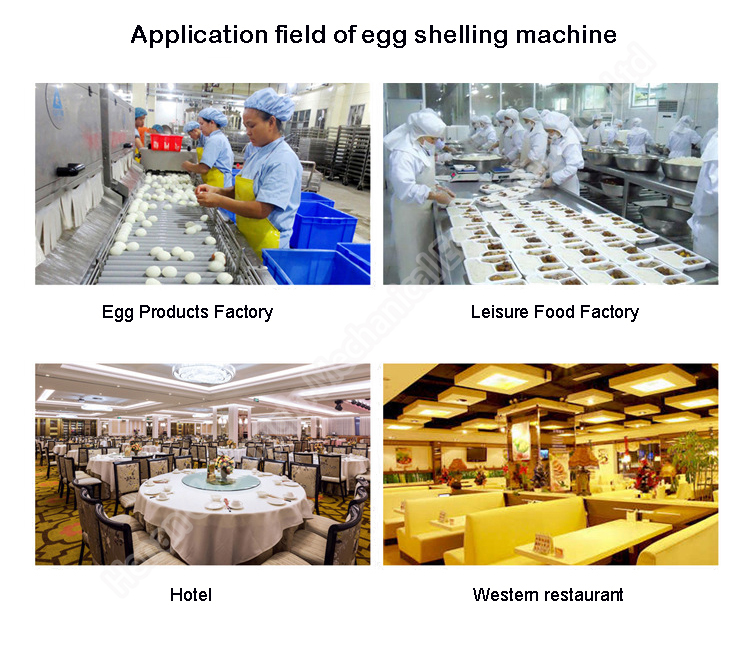 Safe Durable Hard Boiled Egg Peeler Machine Automatic Chicken Egg Peeling Machine 3600pcs/H