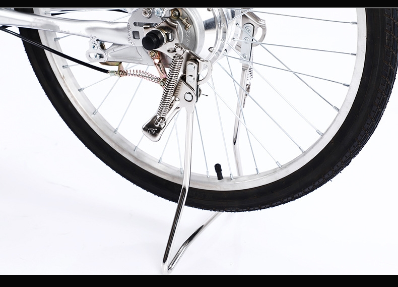 48V 250W Motor Electric Bike Step Through Frame 8Ah / 10Ah Lithium Battery