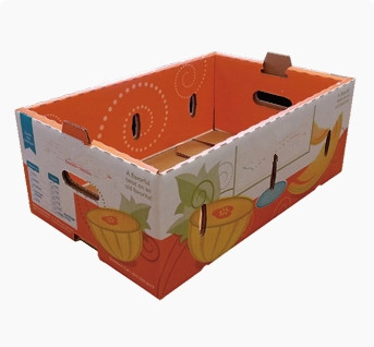 Environmental Friendly Food Packing Boxes Vegetable Carton Packaging Boxes