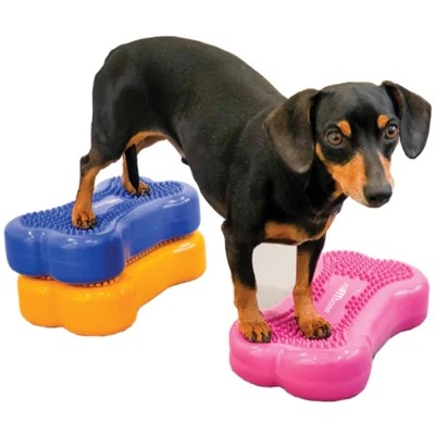 Pvc CanineGym dog balance massage training bone shape plane