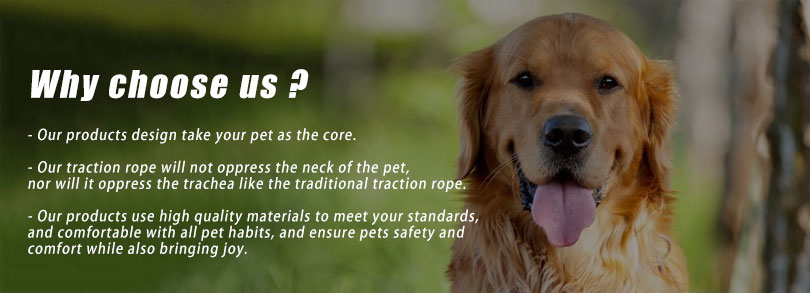 Pet Supplies High Quality Outdoor Dog Harness with Reflective Material