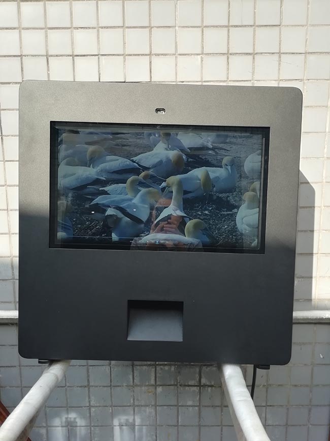 Outdoor Digital Display High Brightness Monitor Display Floor Stand LCD Displays
