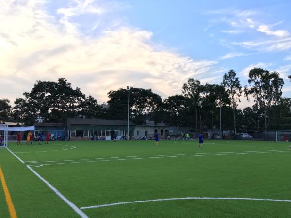 Quality Multi-Purpose Artificial Football Grass For Outdoor Soccer Field for sale