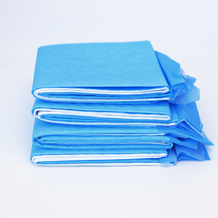 22 X 22 Inch Training Pads Pet underpad Disposable Underpads for Adult dogs and Puppies