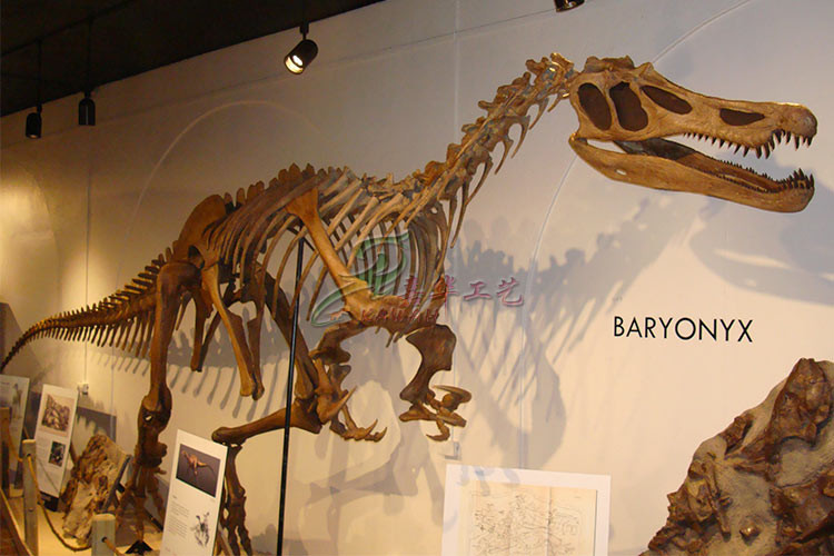 Realistic Complete Dinosaur Fossil , Simulation Full Dinosaur Skeleton
