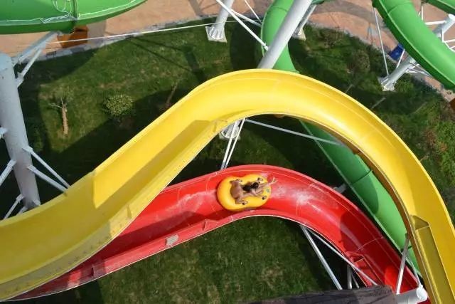 Excited Large Outdoor Rainbow Water Slide Weather Resistance