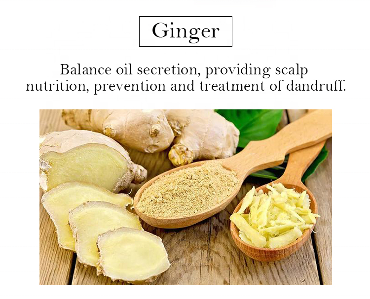 All Hair Types Anti-hair Loss Organic Hair Care Set with Ginger Shampoo and Conditioner