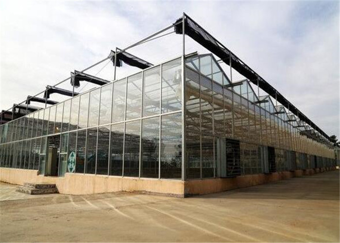 Modern Design Agricultural Glass Greenhouse 3m - 6m Side Height Long Service Life