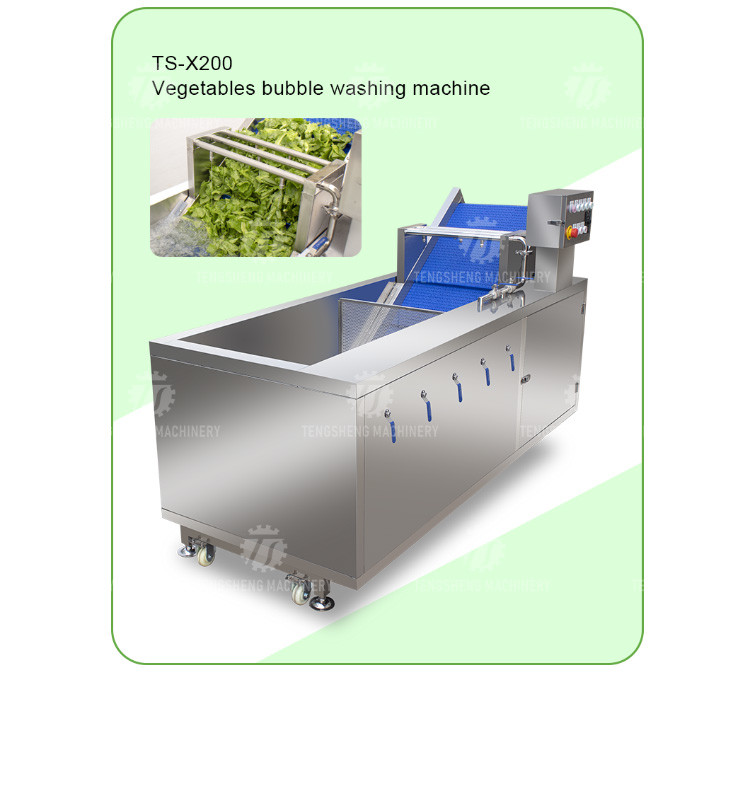 240KG Coriander Dandelions Vegetable Washing Line , ozone generator Fruit And Vegetable Cleaner Machine