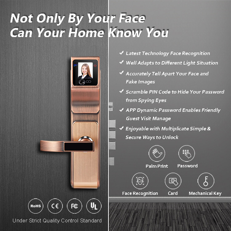 Durable Face Recognition Door Lock High Security Touch Screen Low Energy Consumption