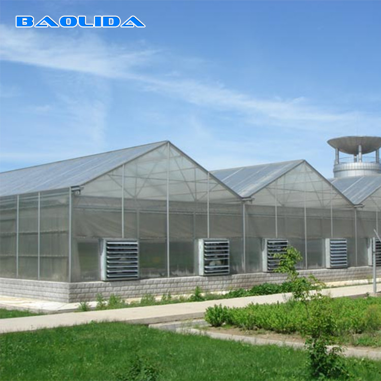 Automatic System Multi-Span Greenhouse PC Polycarbonate Film Greenhouse Steel Structure