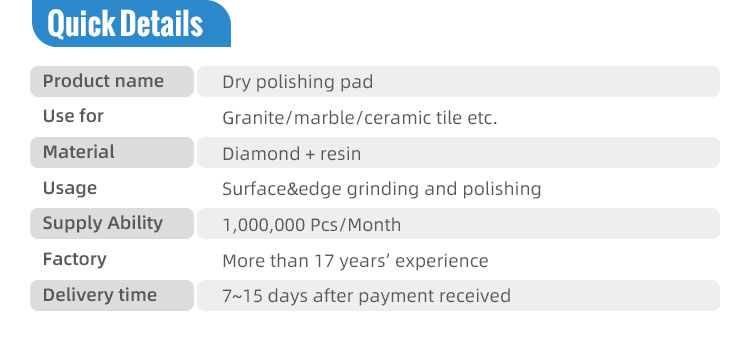 Diamond Polishing Pads For Dry On Slabs And Tiles With OBM Support And Customization