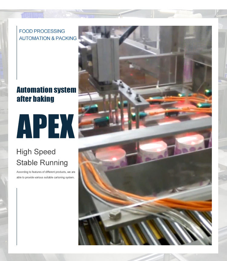 Automatic Case Packer System Multi Function E Commerce Packing Food Machine