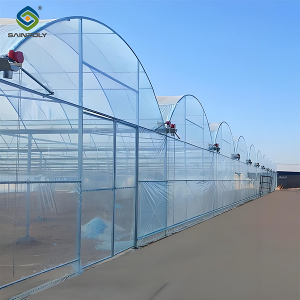 Galvanized Steel Frame Greenhouse multi span greenhouse Film Covering Space Efficient