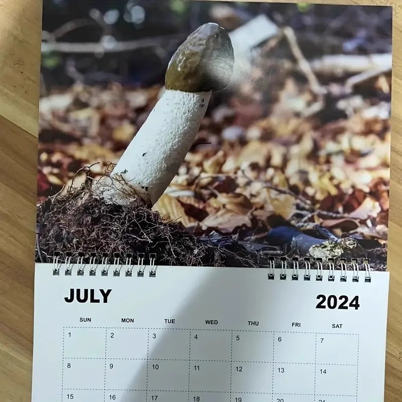 Make Your Custom Wall Calendar Stand Out with Personalization and Durable Spiral Binding
