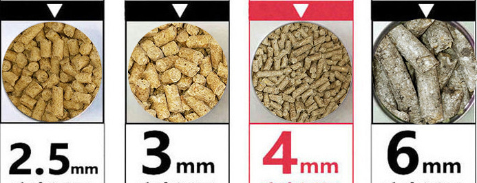 220V/380V Poultry Feed Pellet Machine Cattle Feed Making Machine 80-1200kg/H