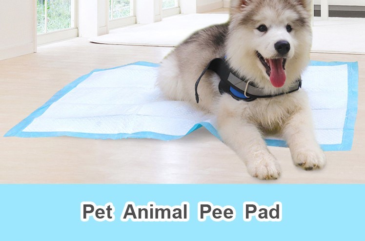 5 Layers Fluff Pulp Mixed SAP Biodegradable Bamboo Pet Pee Pad