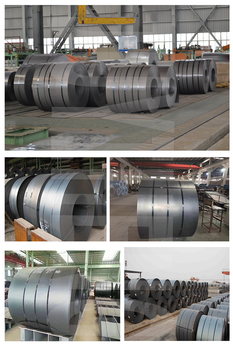 600 - 1500mm Hot Rolled Carbon Steel Coil Q195l S355JR Steel Hot Rolled Coil