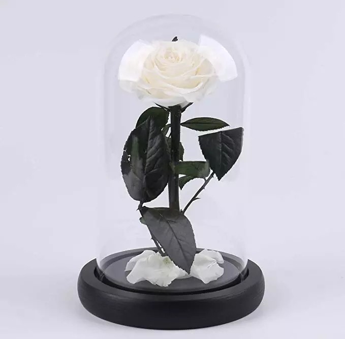 Forever Real Rose Everlasting Flower Preserved Fresh Flower Live Enchanted Rose in Glass Dome Cover with Gift Box rose
