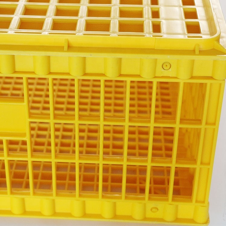 Poultry Broiler Quail Pigeon Plastic Chicken Transport Cages