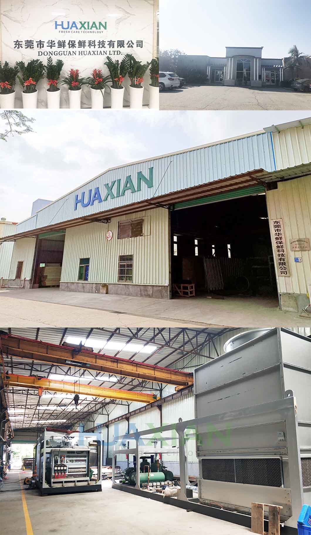 Reliable Seafood Ice Plant Equipment for Port, Block Ice Making Machine for Harbour