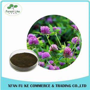 Reliable Manufacturer Supply Hot Products for Gardenia Jasminoides Ellis