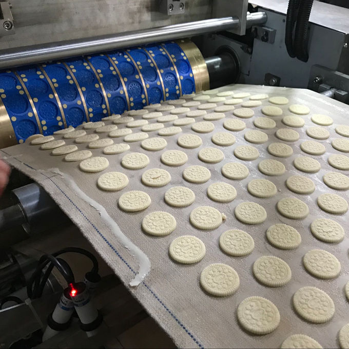 Width 1200mm Siemens PLC Soft And Hard Biscuit Production Line