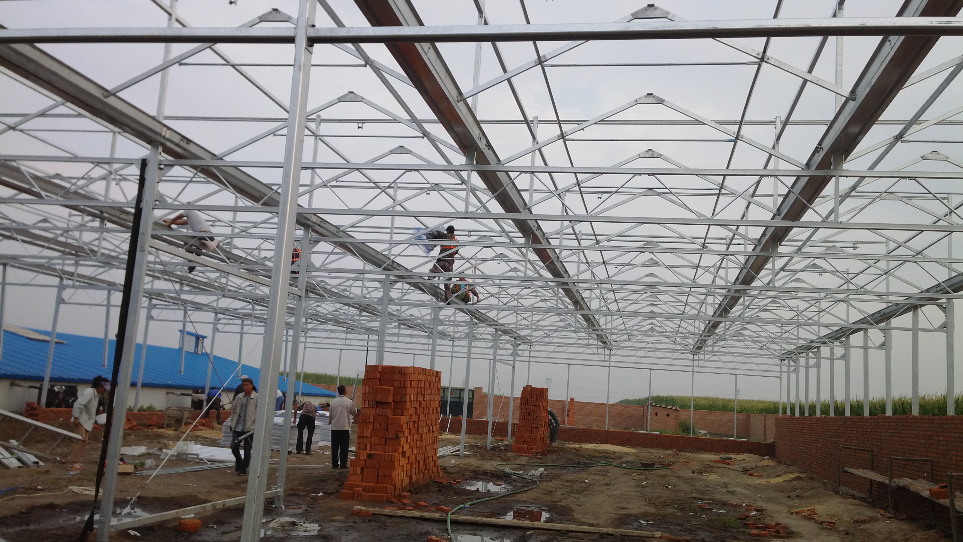 High-Efficiency Agricultural Greenhouse Production Greenhouse With Plastic Film
