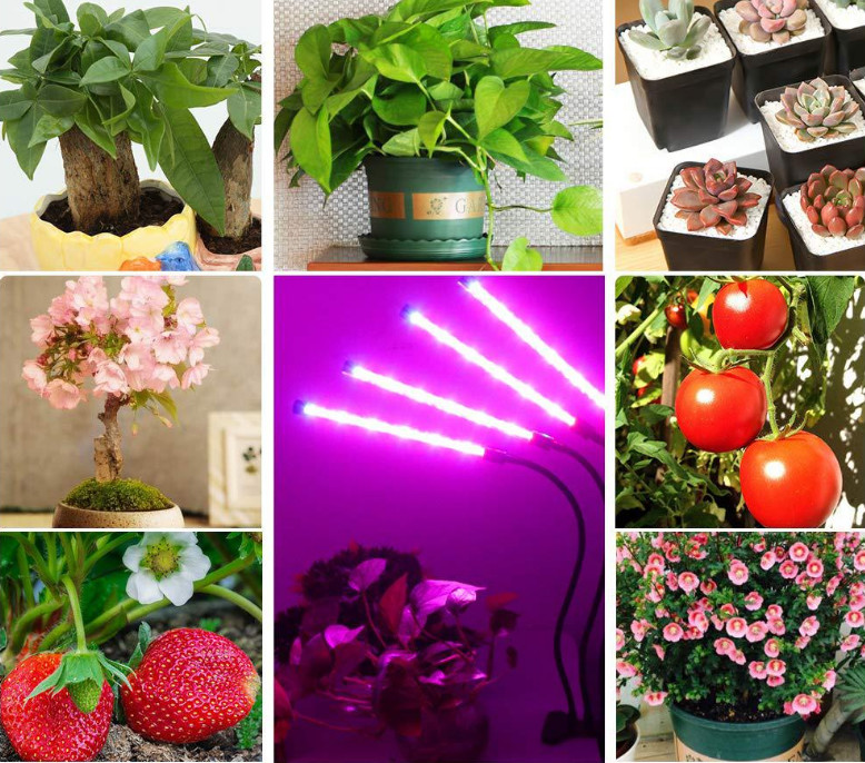 DC5V Full Spectrum 80W LED Grow Light