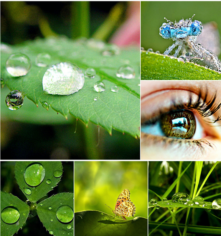 0.67X colored 3 in 1 cell phone lenses wholesale