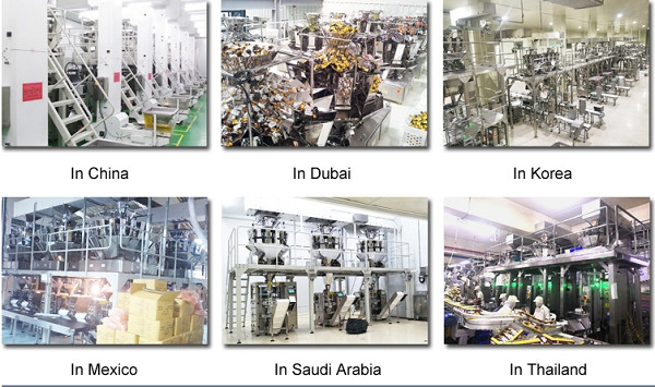 ZH-BR10 Sugar Semi Automatic Weighing And Packing Machine