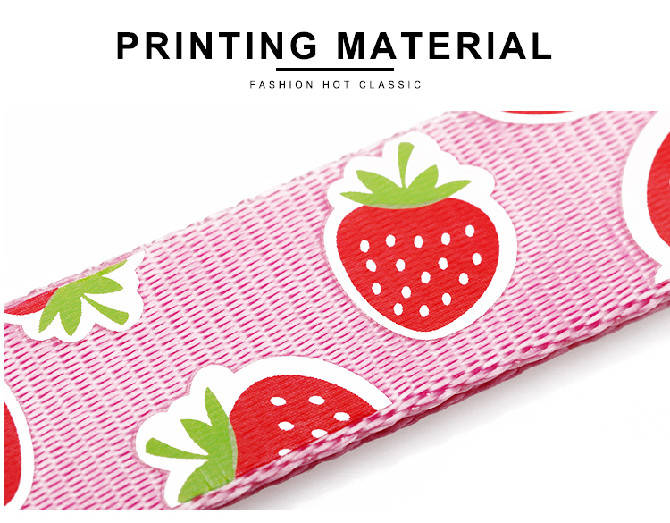 OEM training dog leash Silk Screen Pattern dog training lead