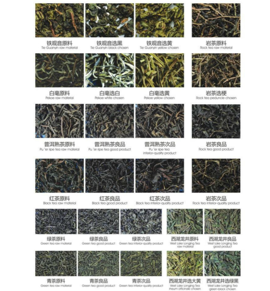 High Capacity High Accuracy Tea Color Sorter Machine Four Layer CCD Tea Color Sorter