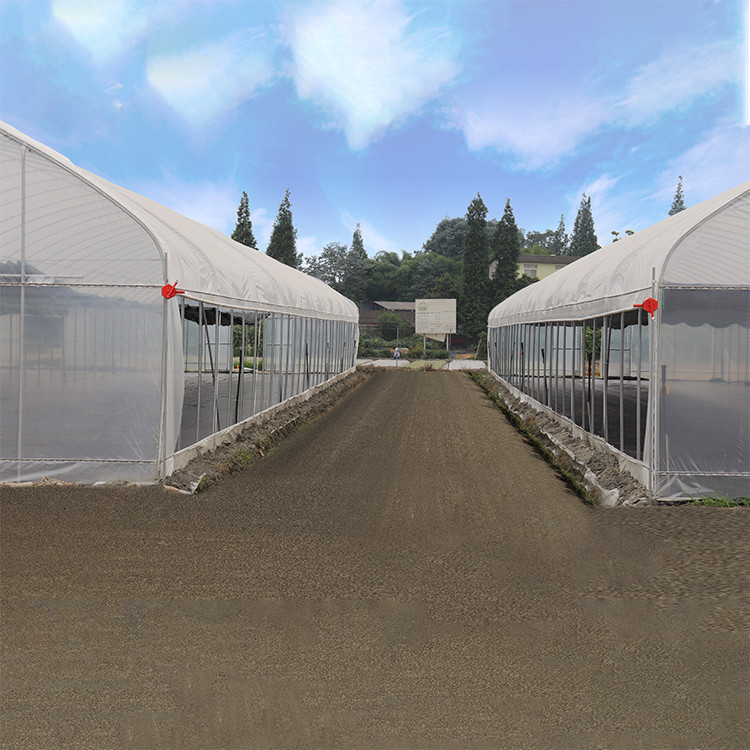 Sample Tunnel Plastic Greenhouse / Plastic Vegetable Single Span Greenhouse