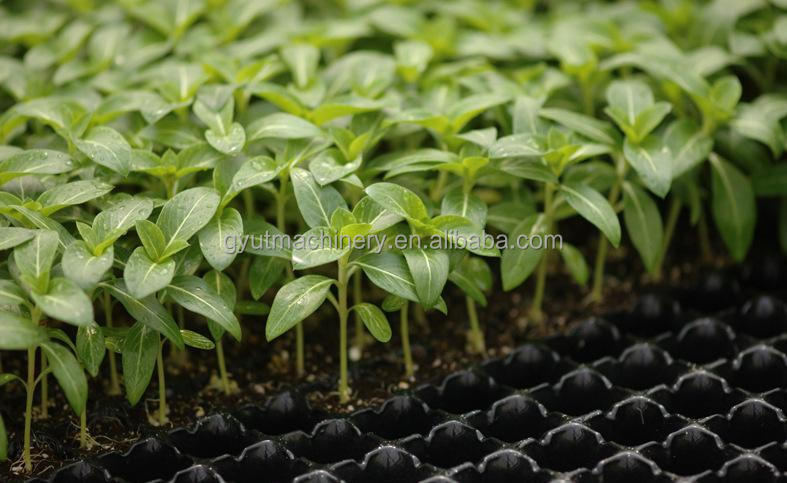 High Precision 98% Seeding Accuracy Planting Equipment for Semi Automatic Seed Sowing