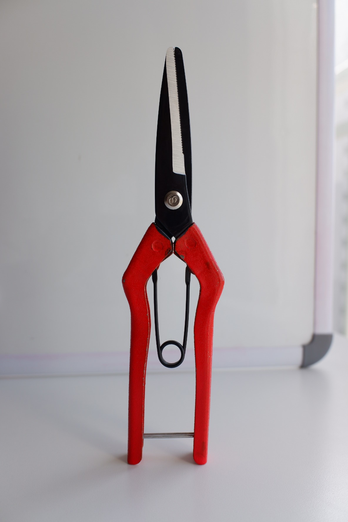 SINSEUNG SB201 Small Plastic Cutting Scissors 115g
