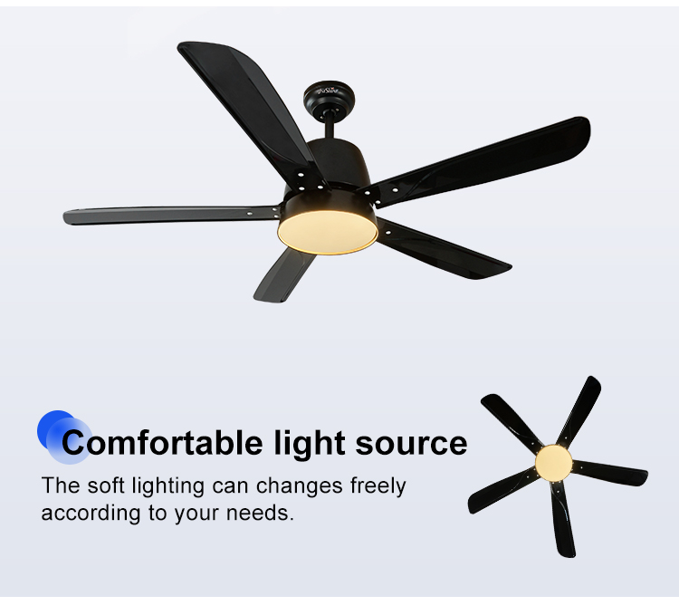 ceiling fan