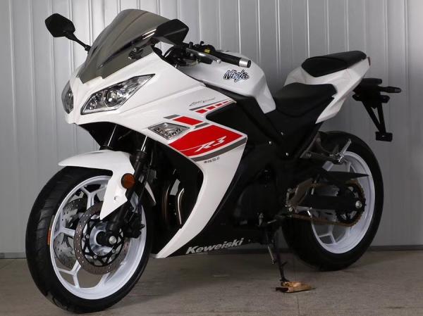 Gas Motor Street Sport Motorcycles , 250cc Cool Sport Bikes / Street Bikes White