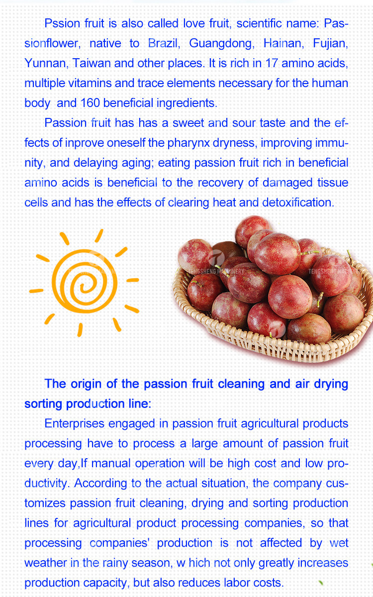 380V Fruit And Vegetable Processing Line Fully Automatic Cleaning Drying Grading