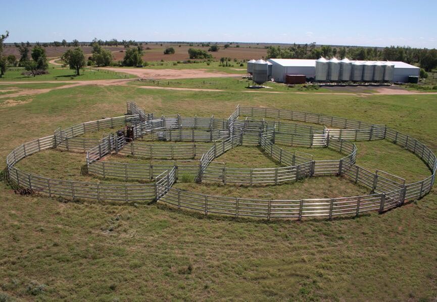 30x60mm Galvanized Cattle Fence Panels Heavy Duty / Horse Yard Panel