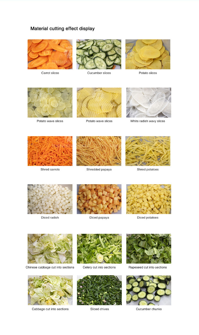2.25kw 1000kg/h Large double - head multi-function vegetable cutter cutting leaves and fruits slices