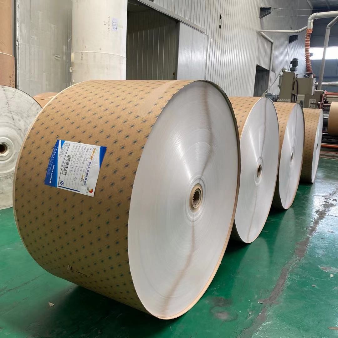 High Bulk White PE Coated Paper Roll 310gsm Kraft For Bowl Burst Resistance