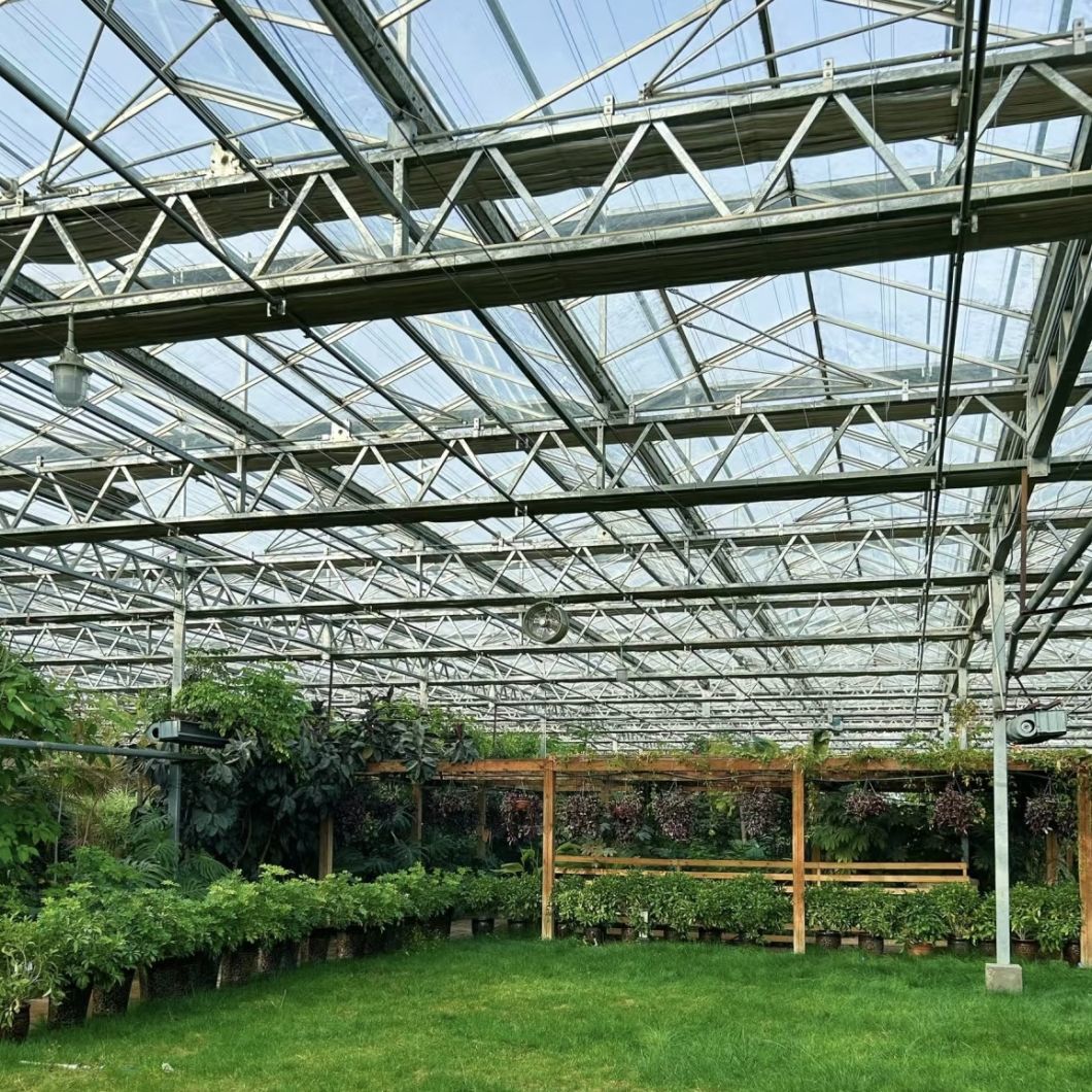 Drip Irrigation Glass Greenhouse with Vegetables