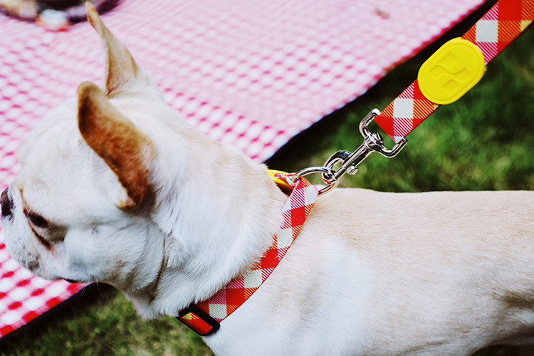 Wide Orange Reflective Dog Collars 1 1.5 2 3 inch Personalized Reflective Puppy Collar