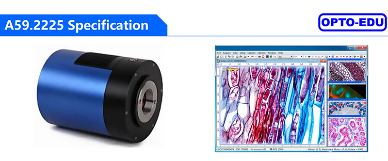 OPTO-EDU A59.2225 USB3.0 CMOS Cooled Digital Camera Fluorescent Image GS Shutter 1.7M~45M