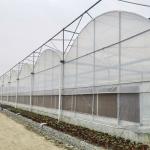 Hydroponic Growing Systems Greenhouse Low Cost Greenhouse Agriculture Plastic
